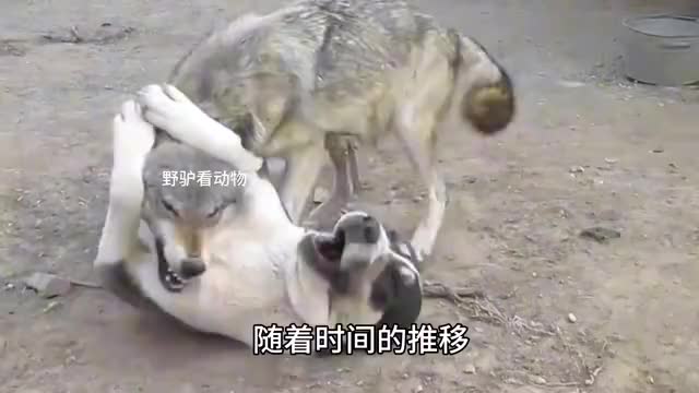 图