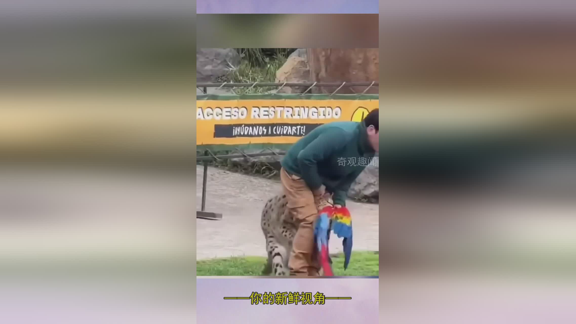 图