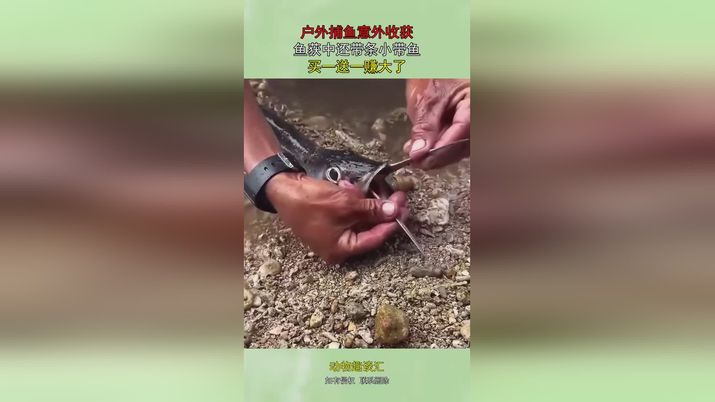 图