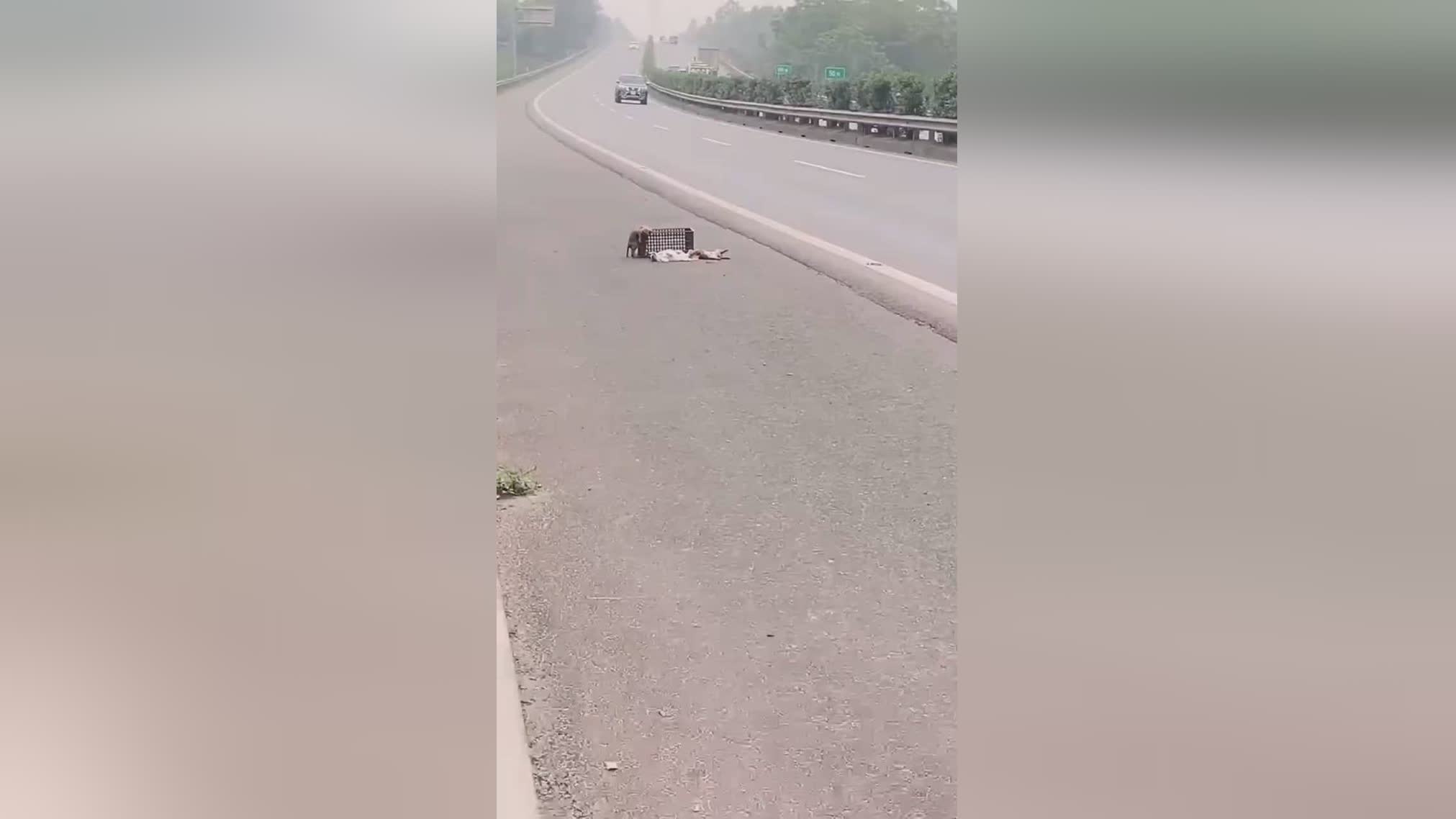 图