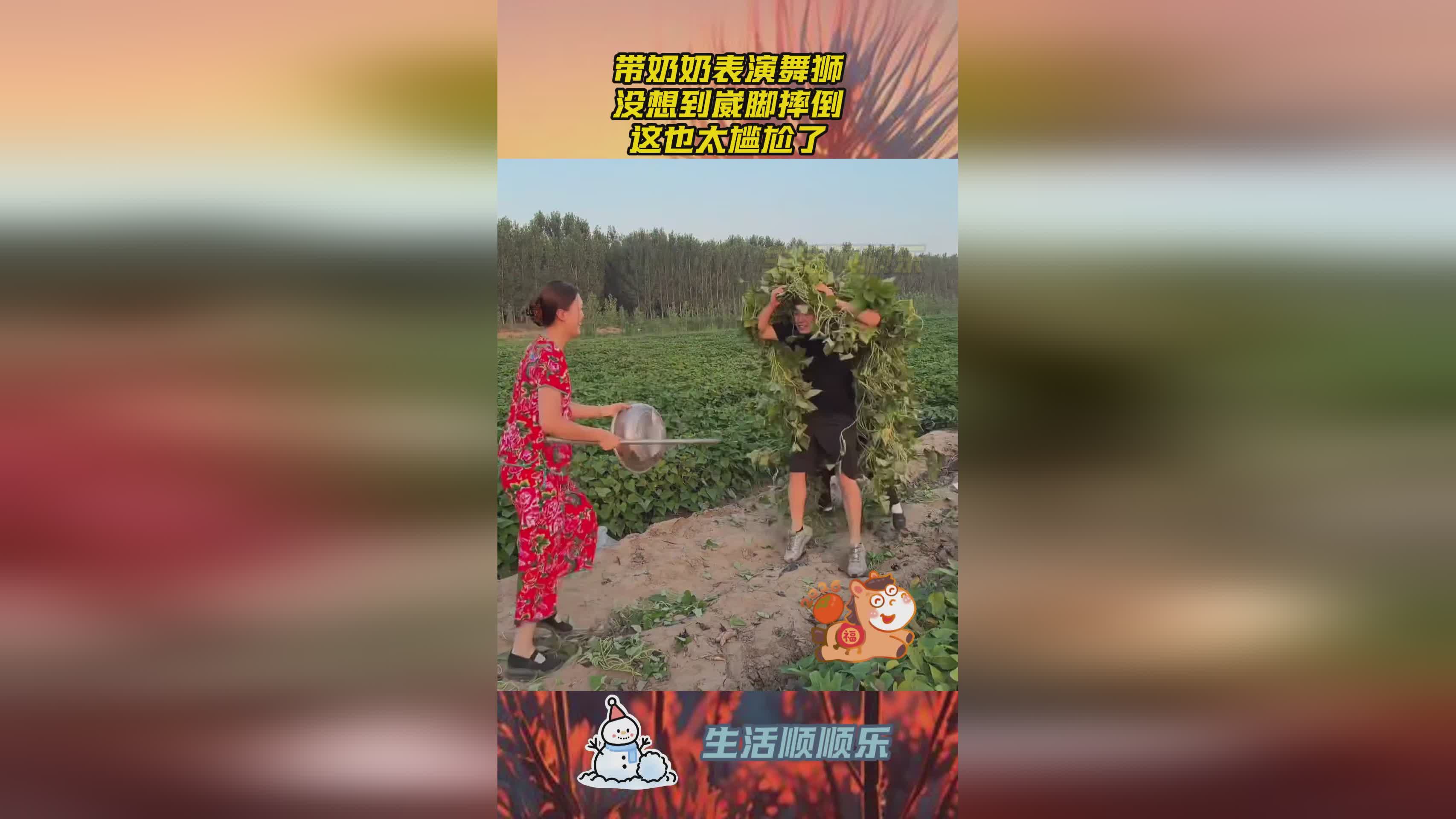 图
