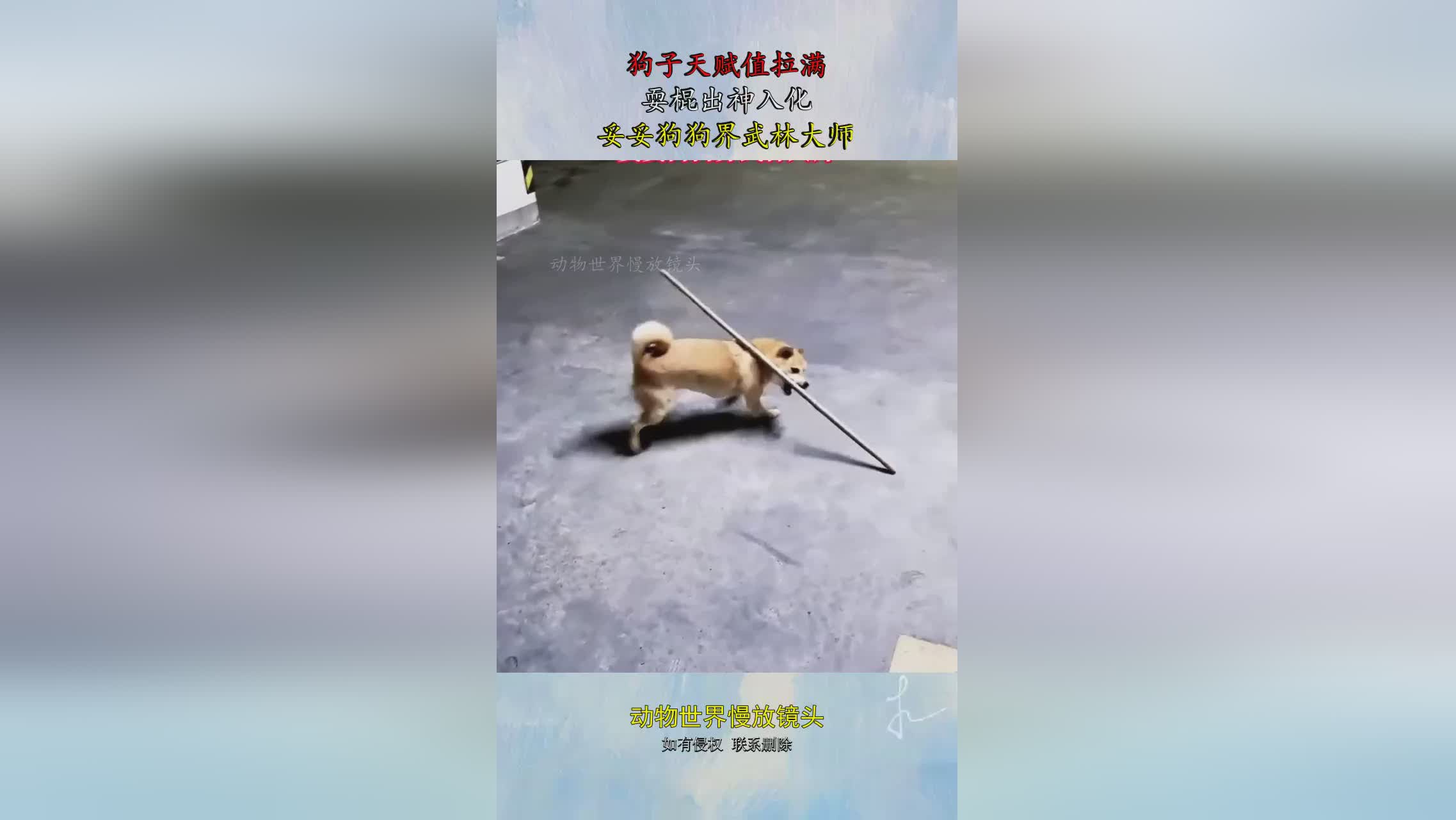 图