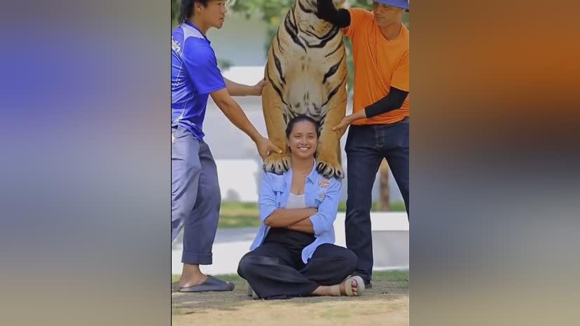 图