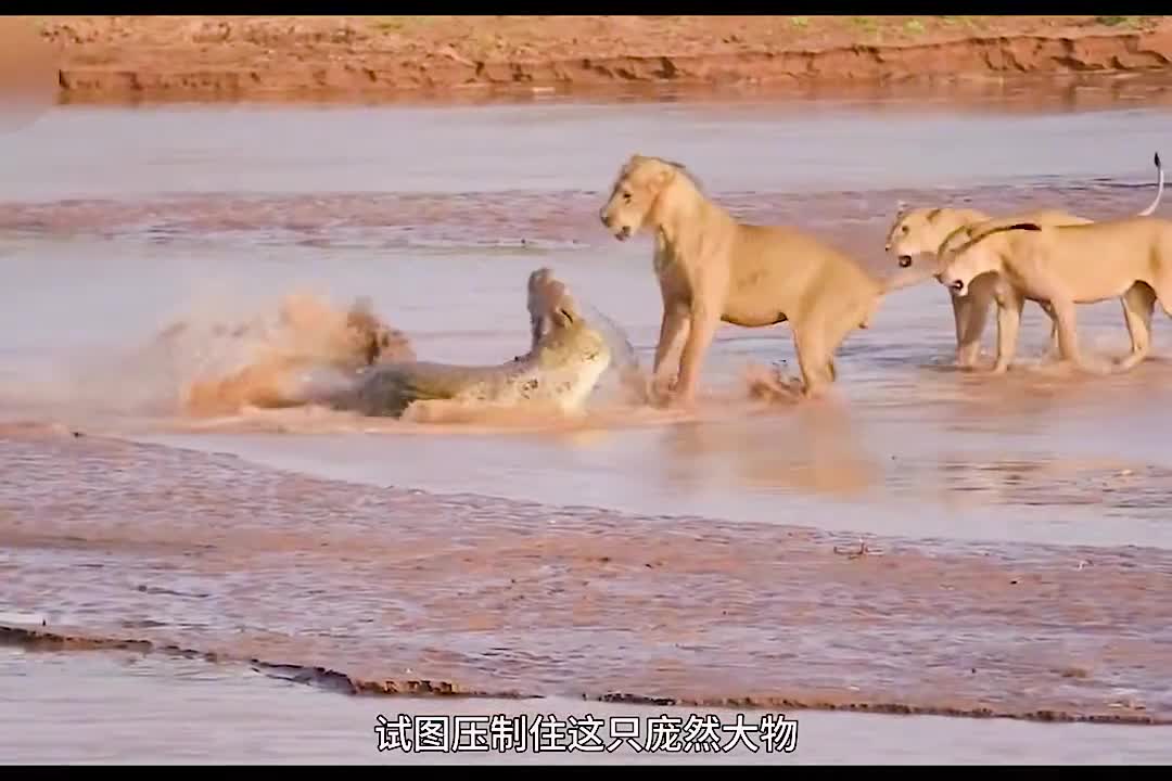 图