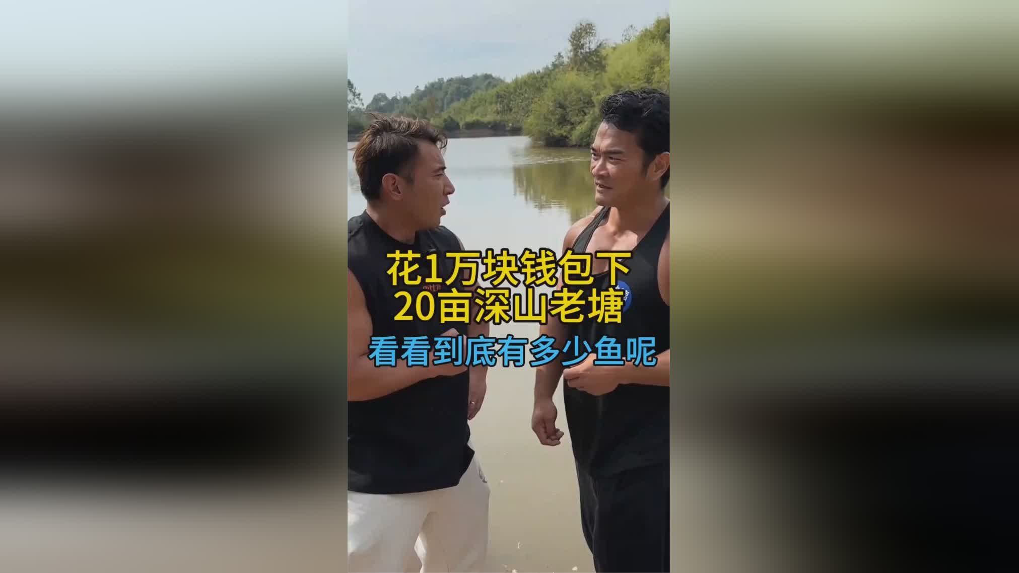 图