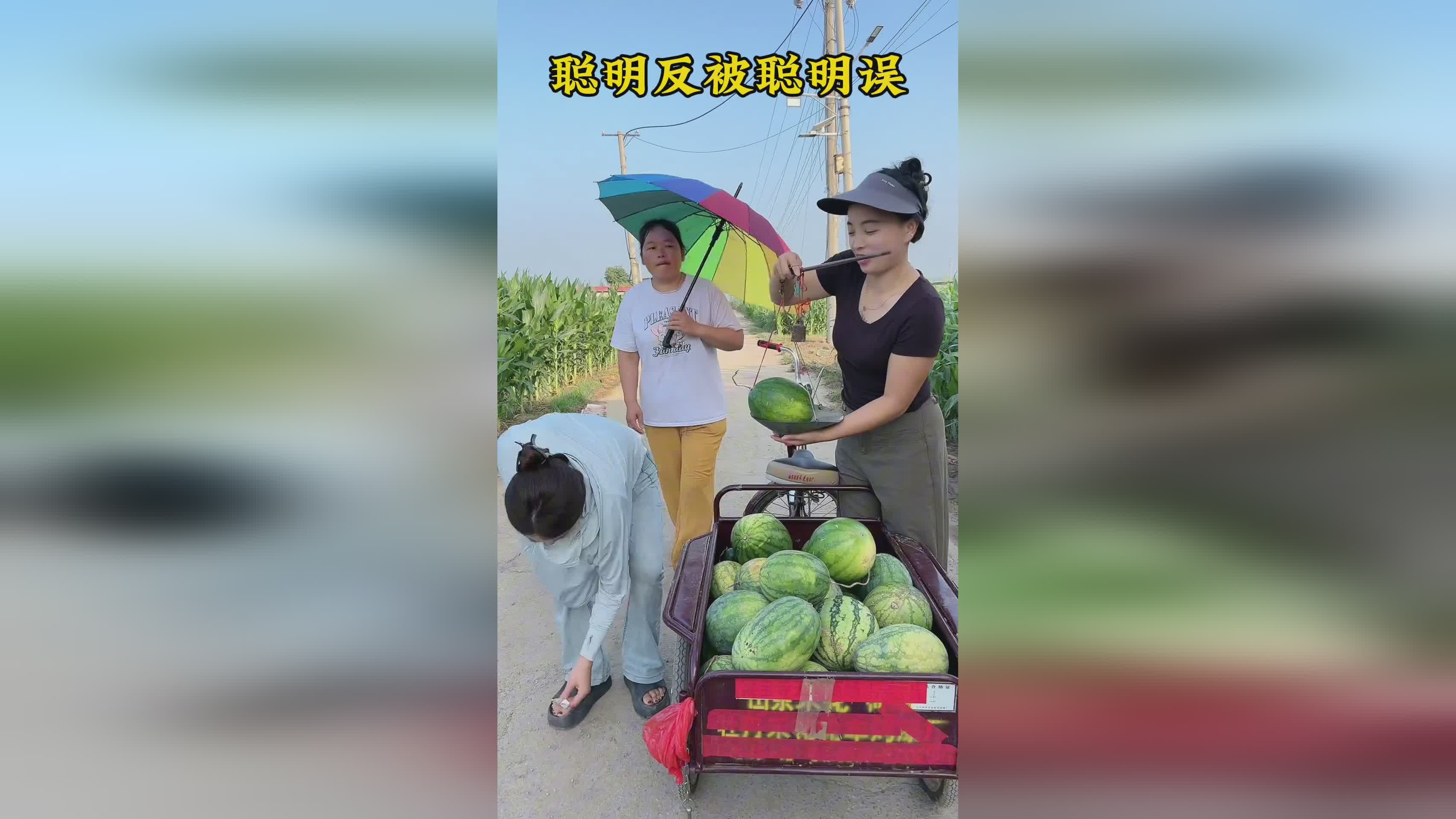 图