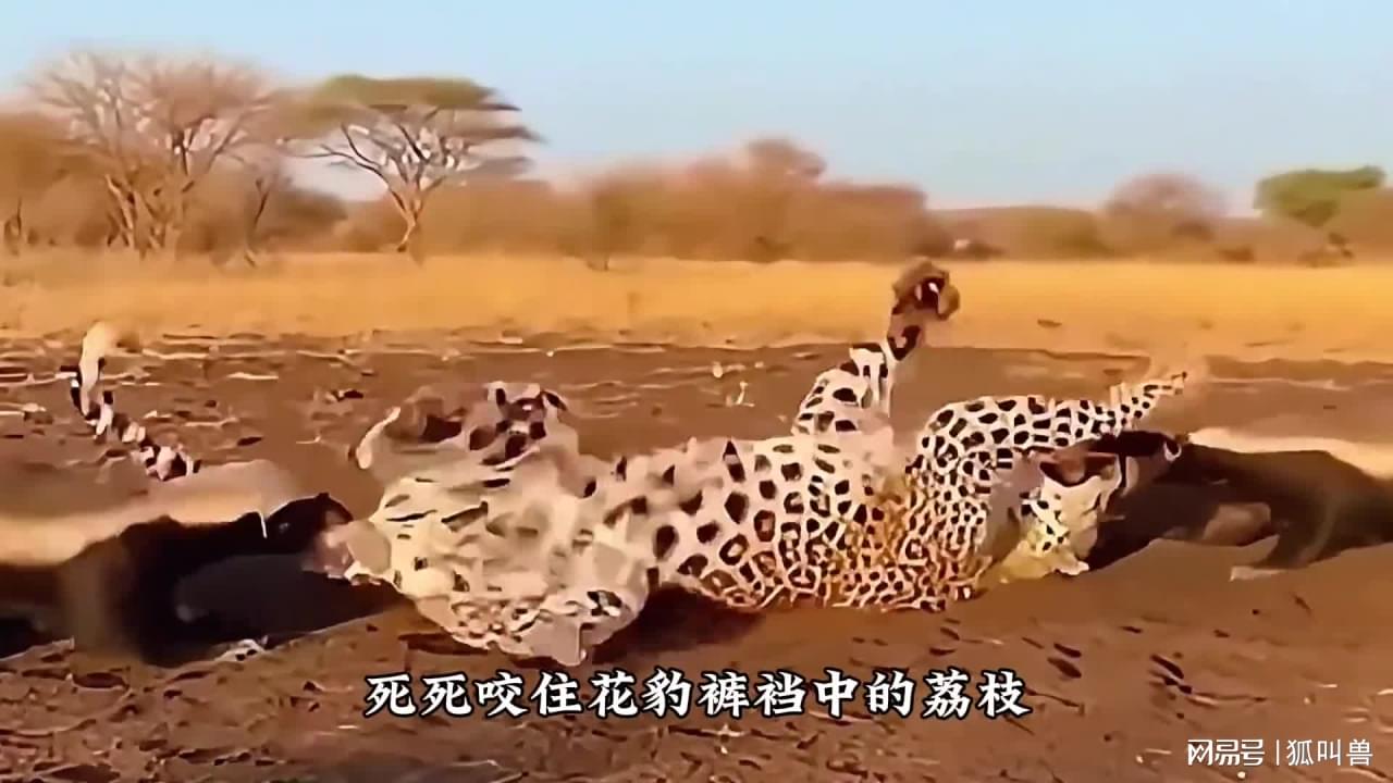 图