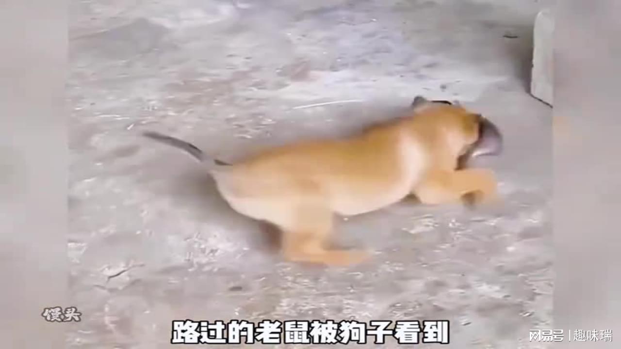 图
