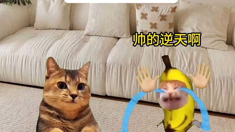 图