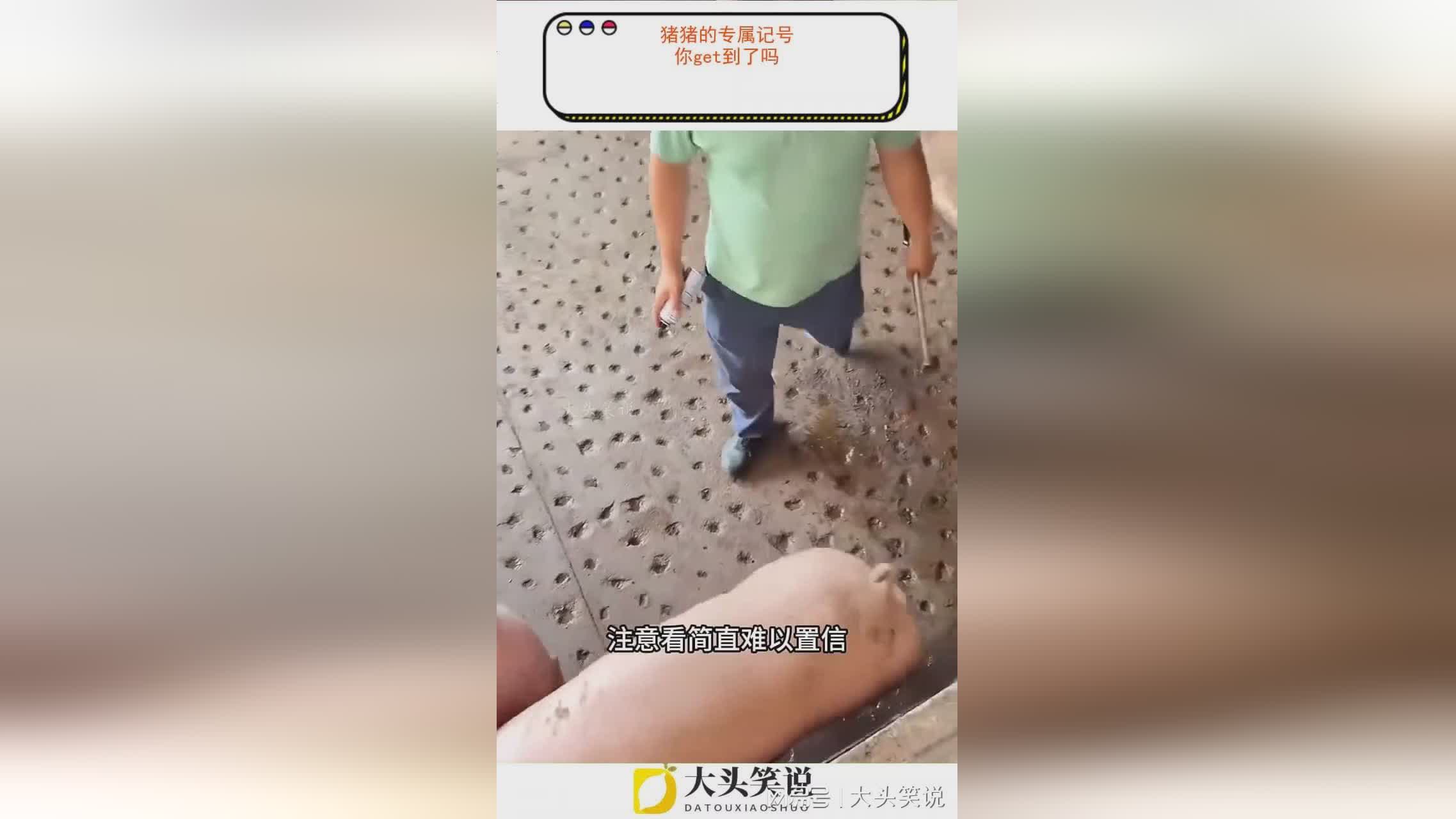 图