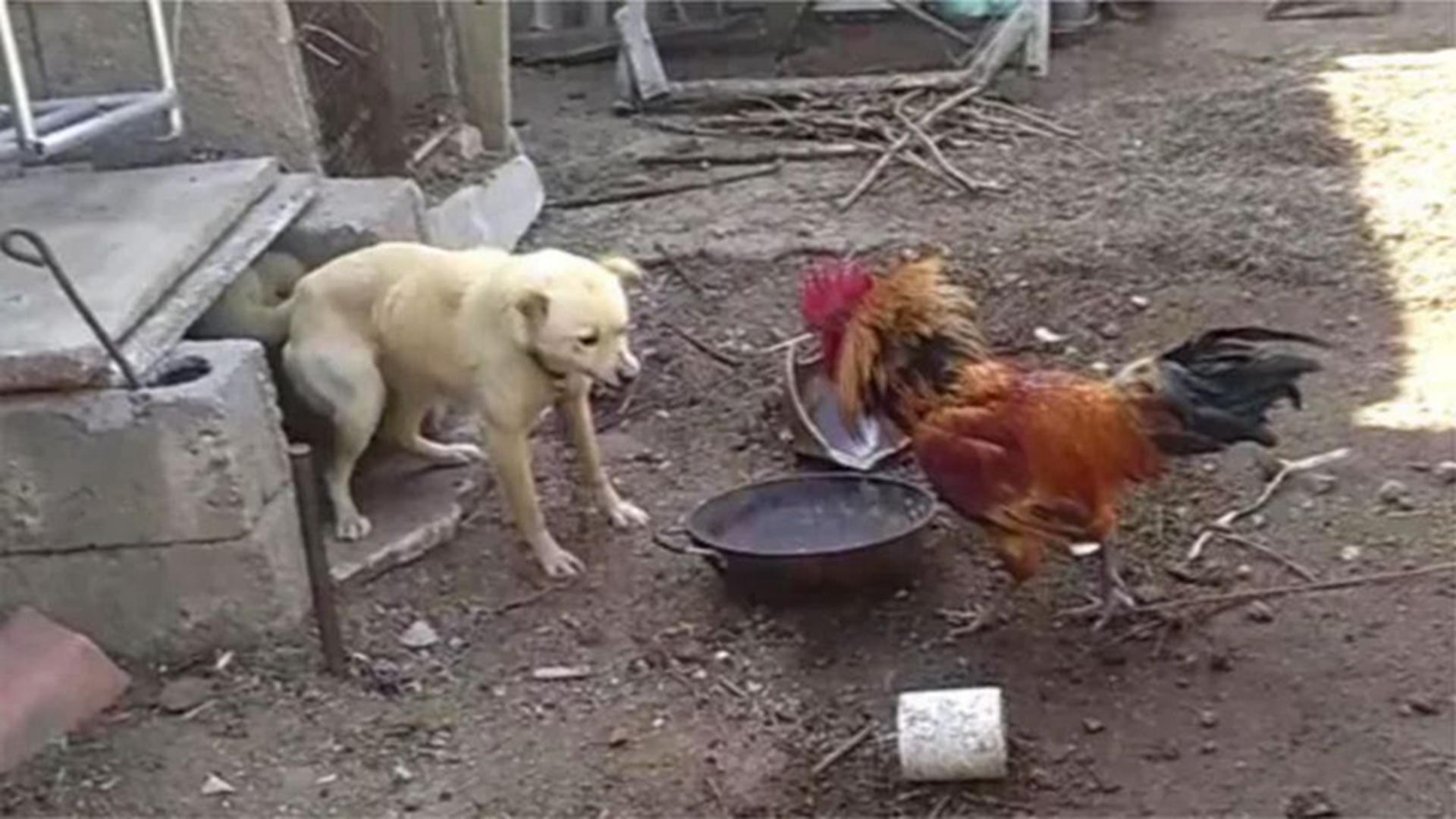 图
