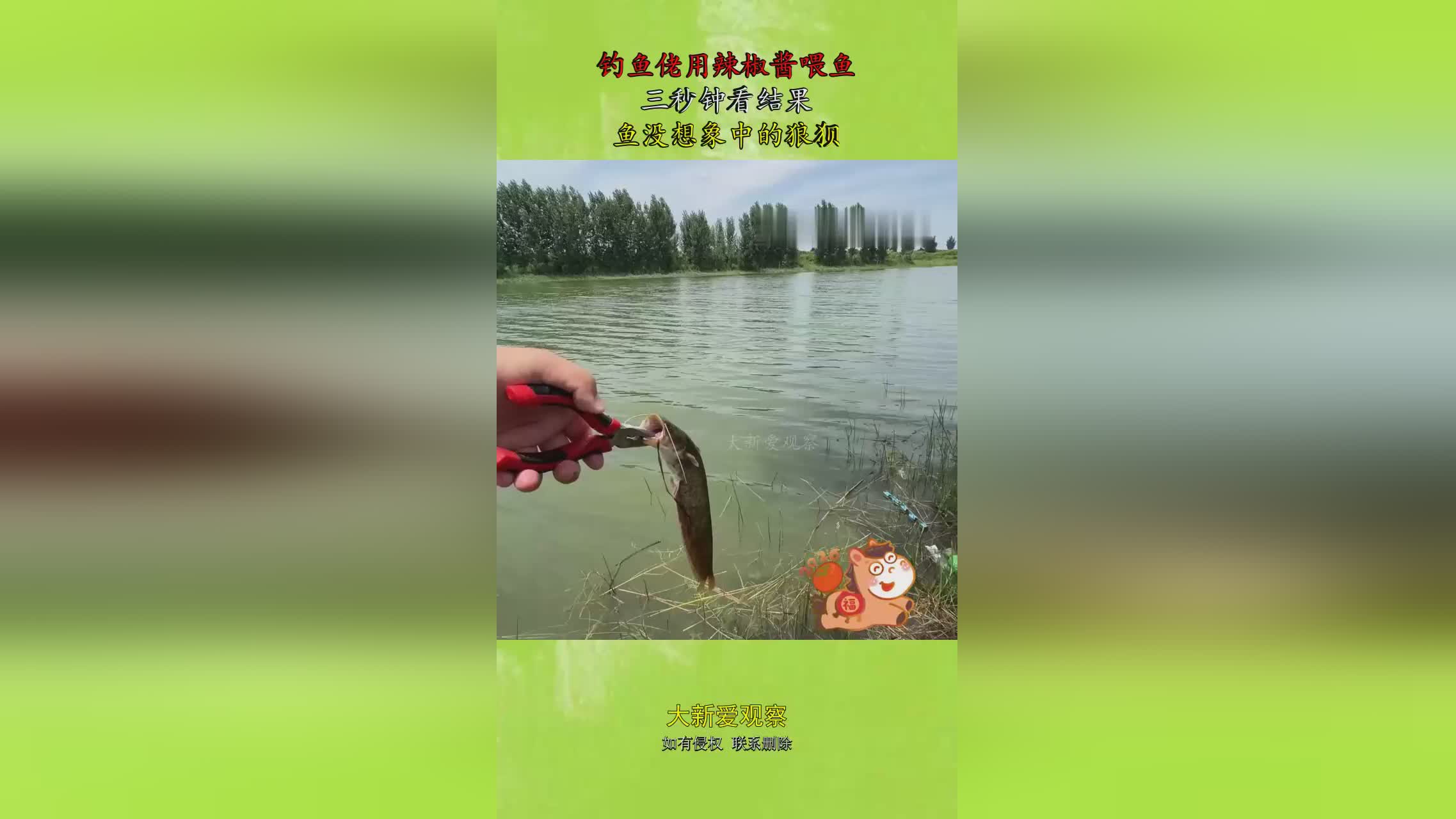 图
