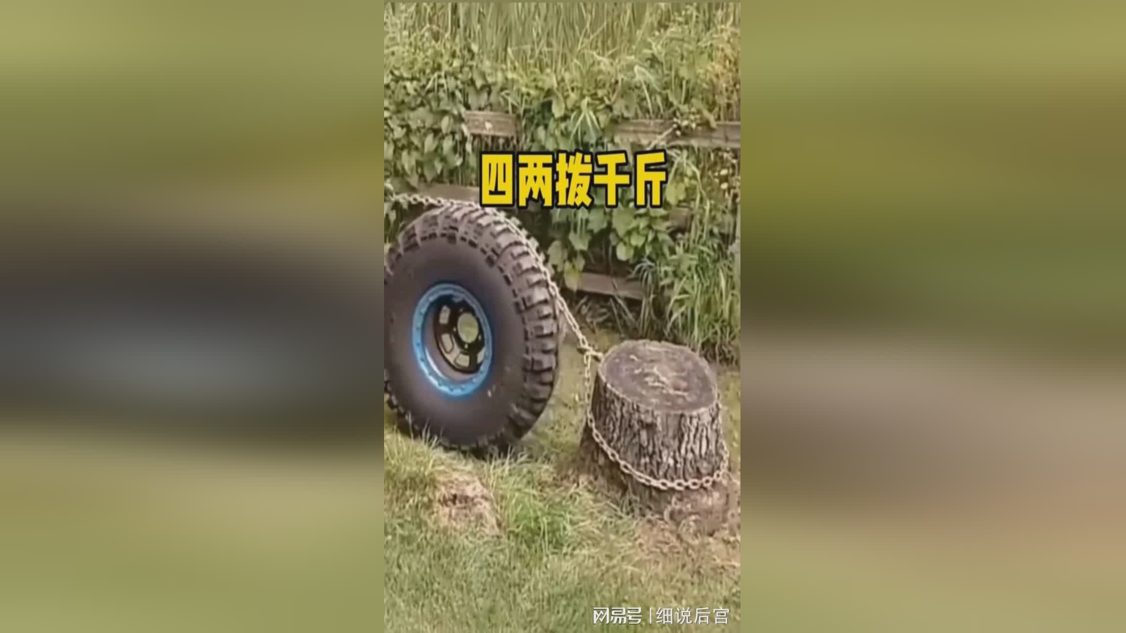 图