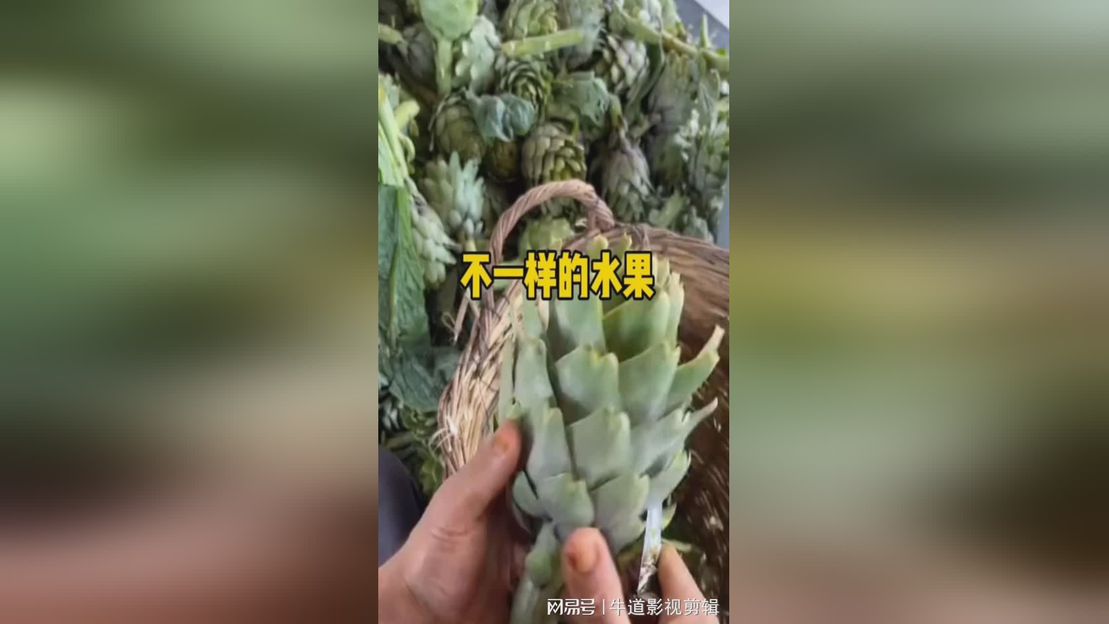 图
