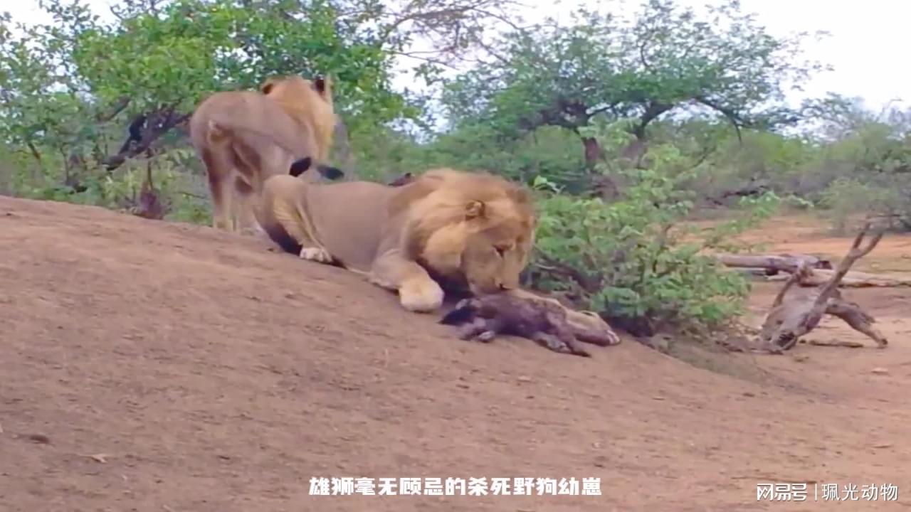 图