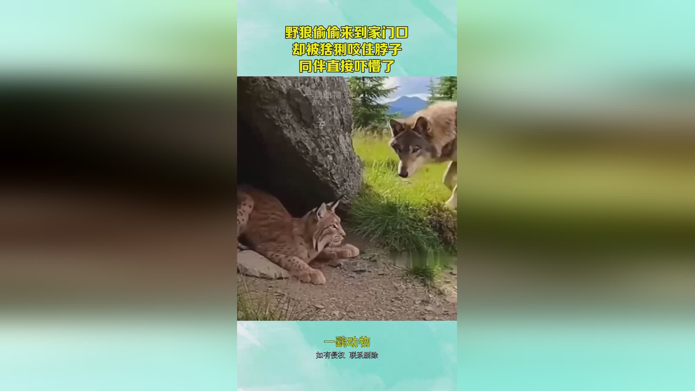 图