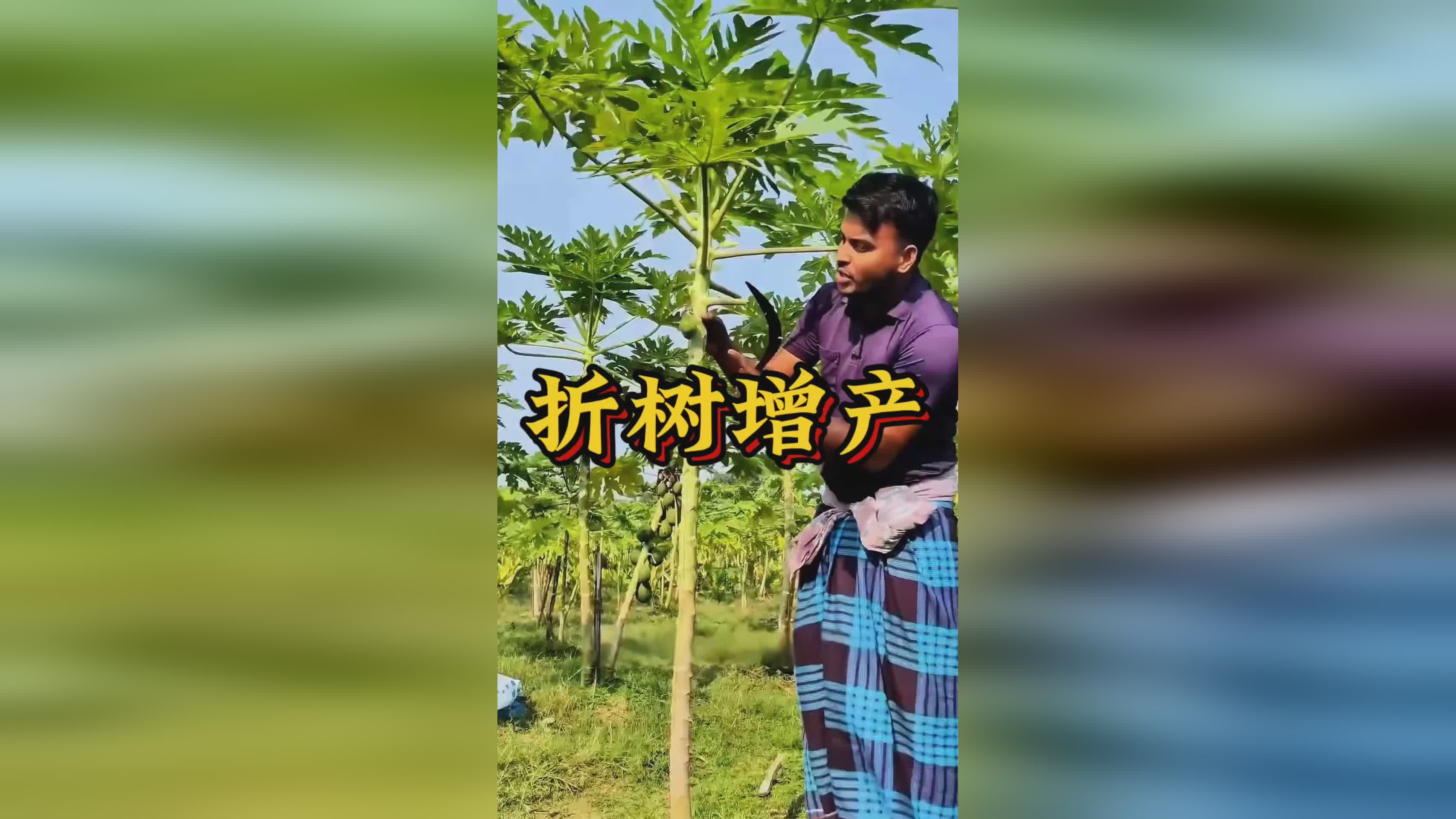 图