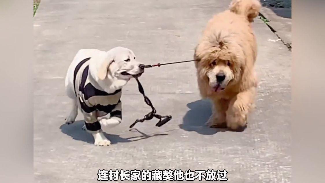 图