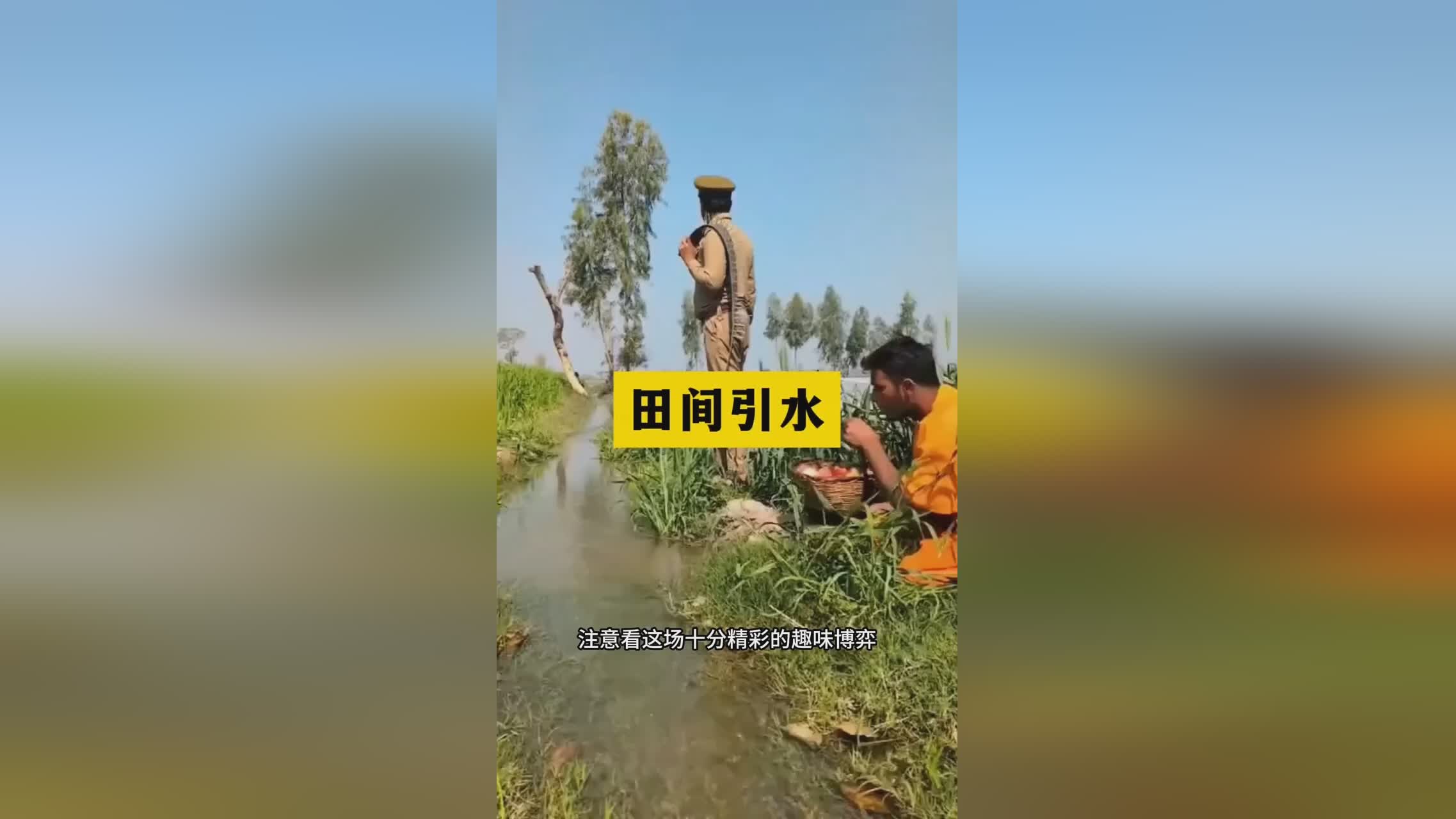 图