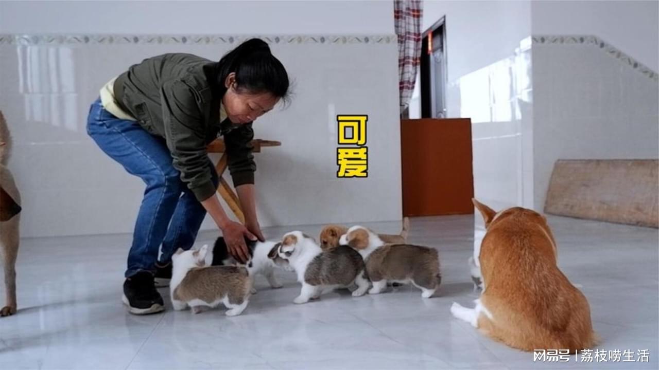图