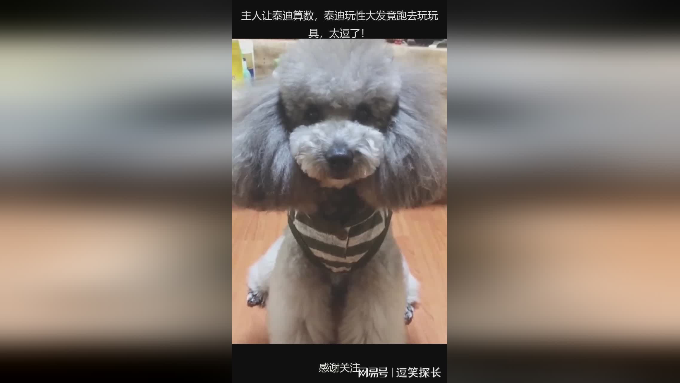 图