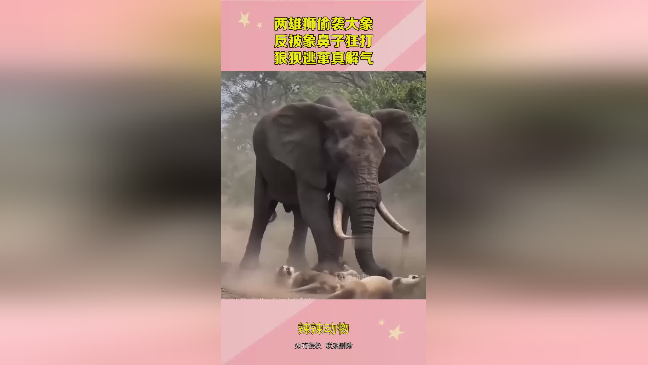 图