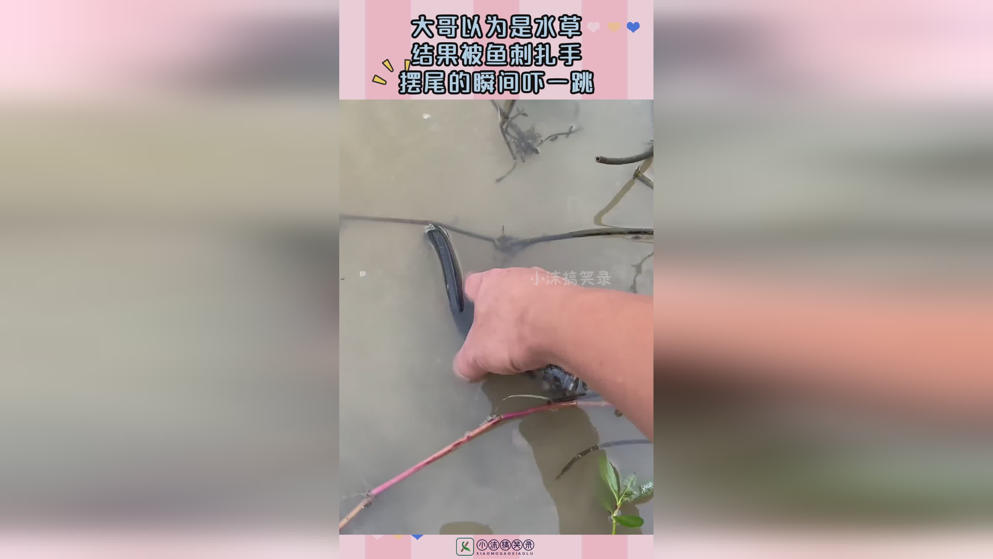 图