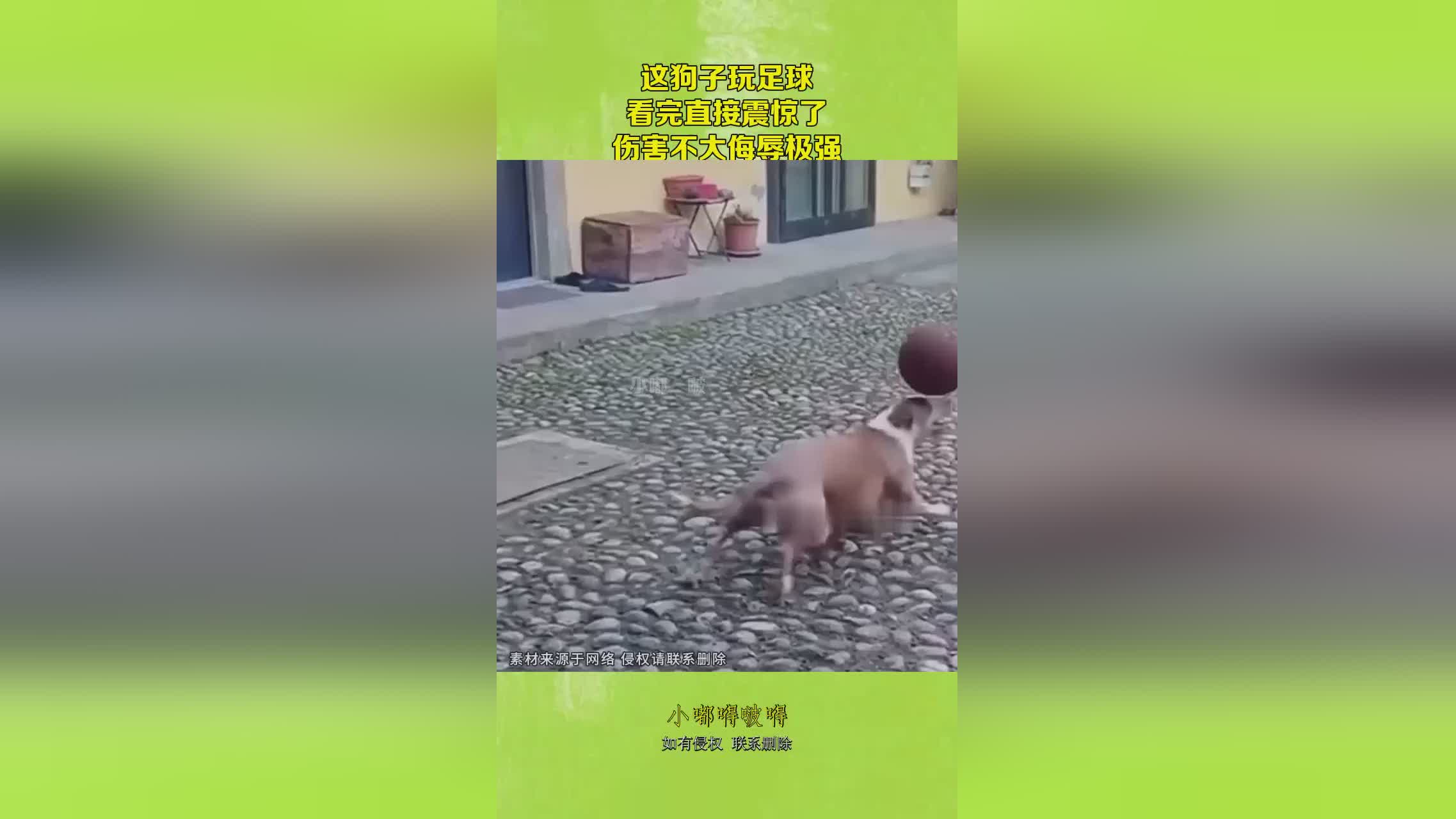 图