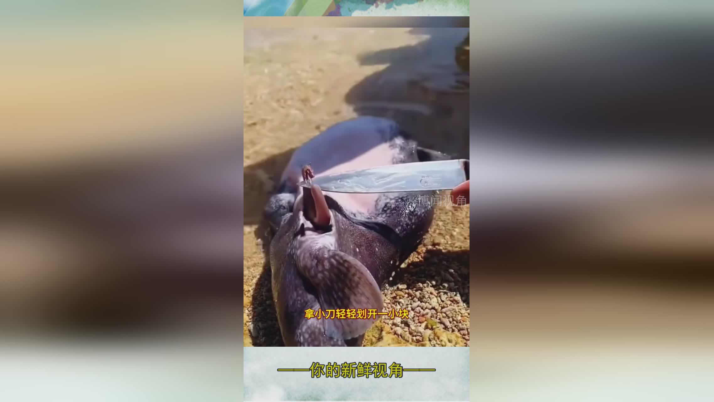 图