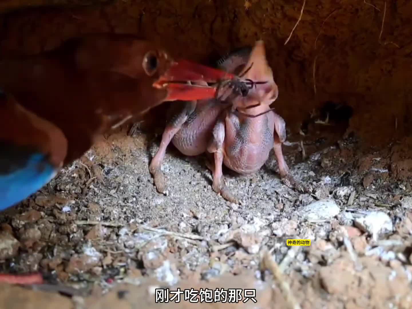 图
