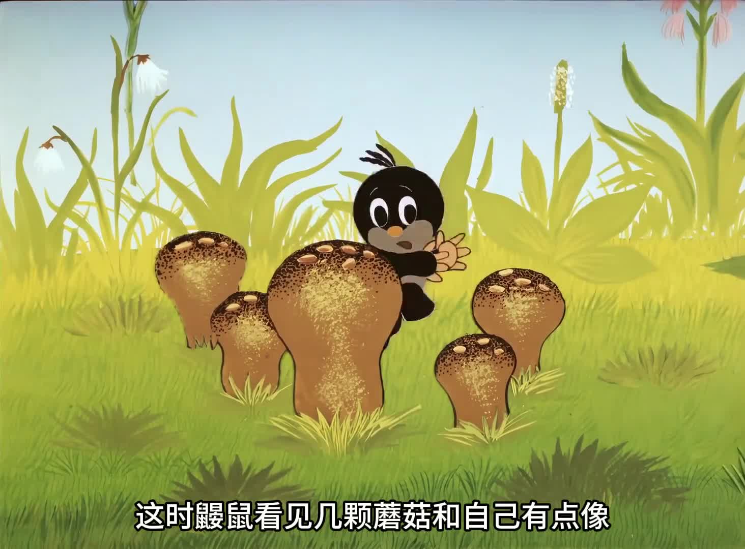 图
