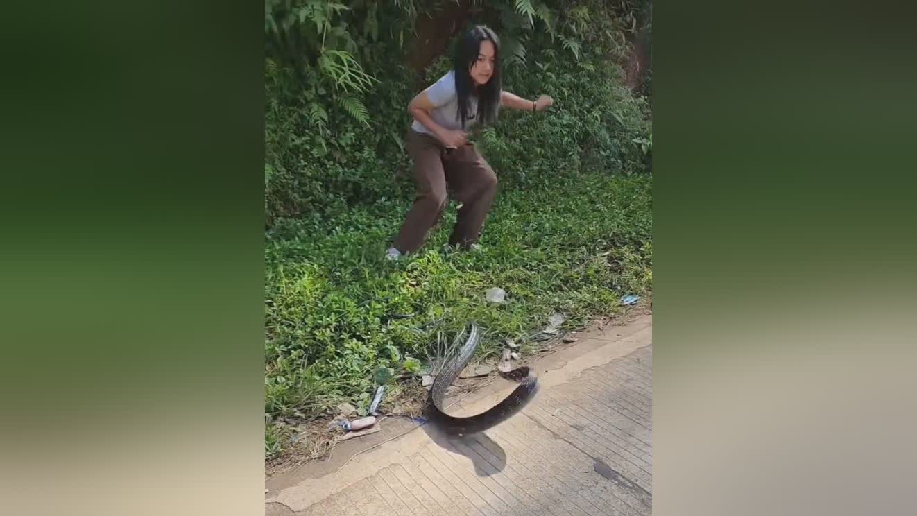 图