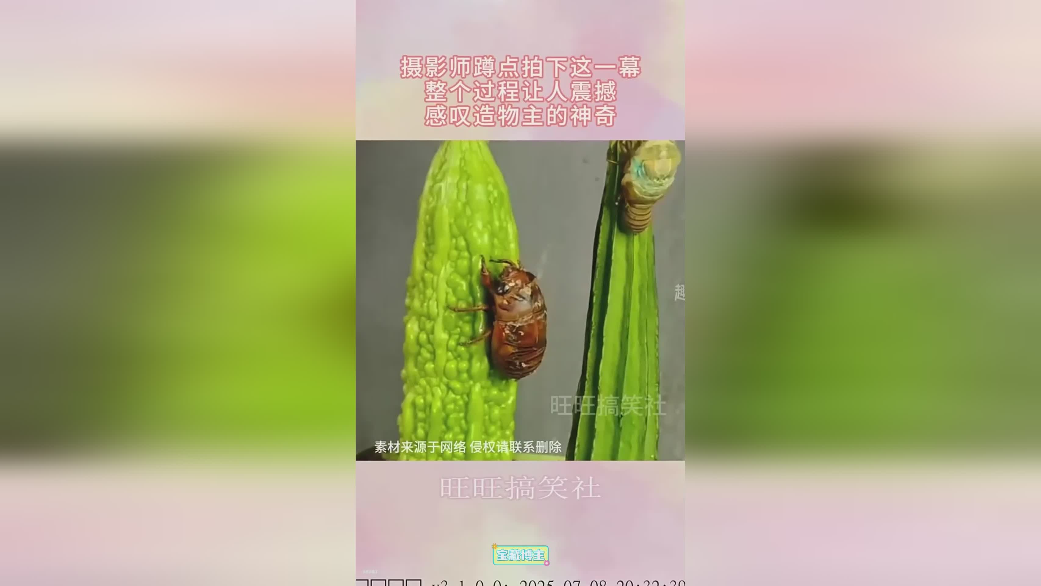 图