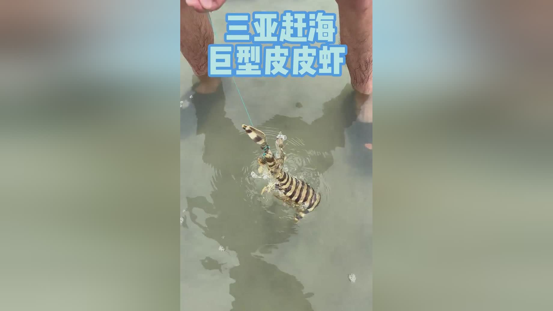 图