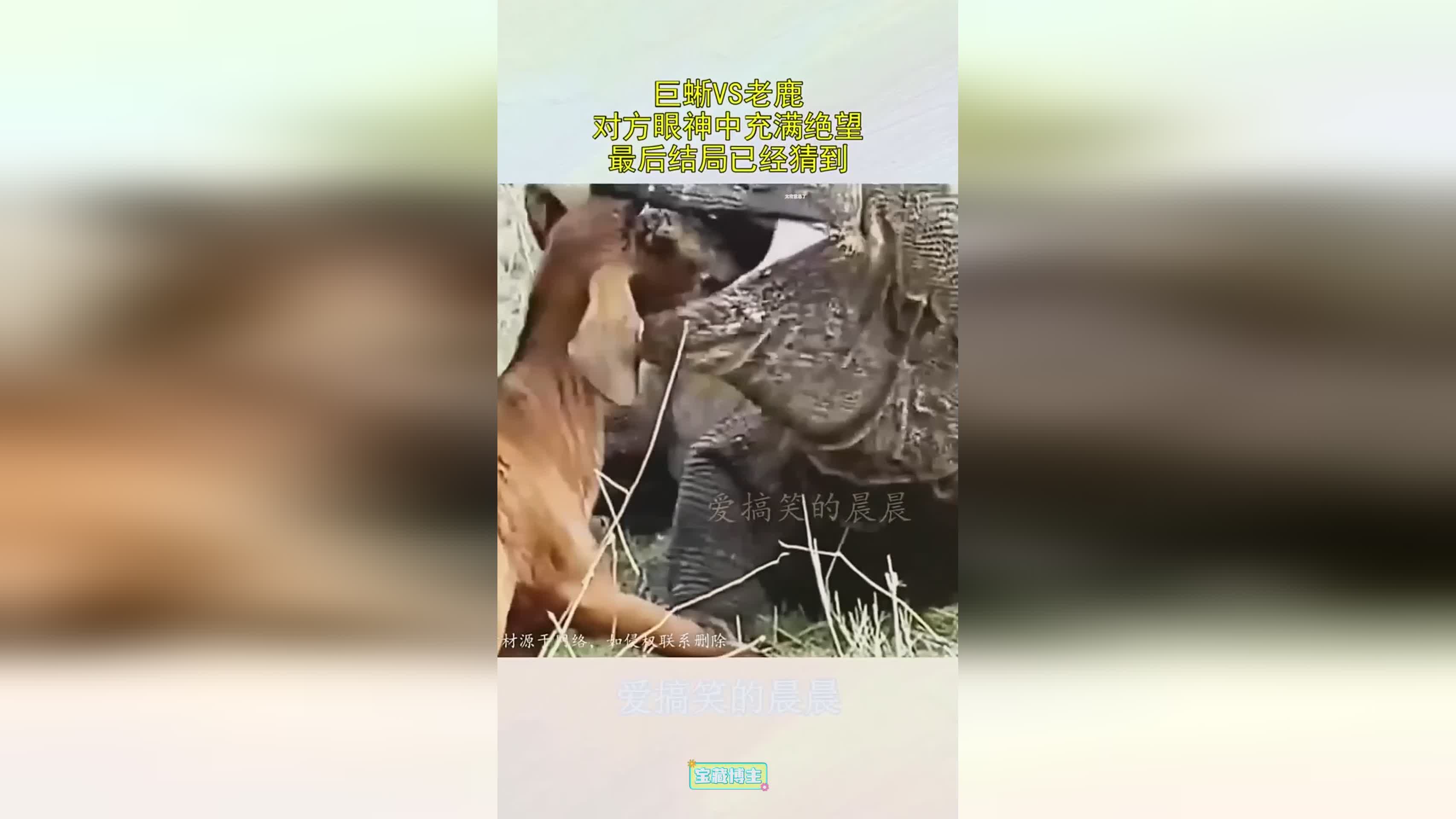图