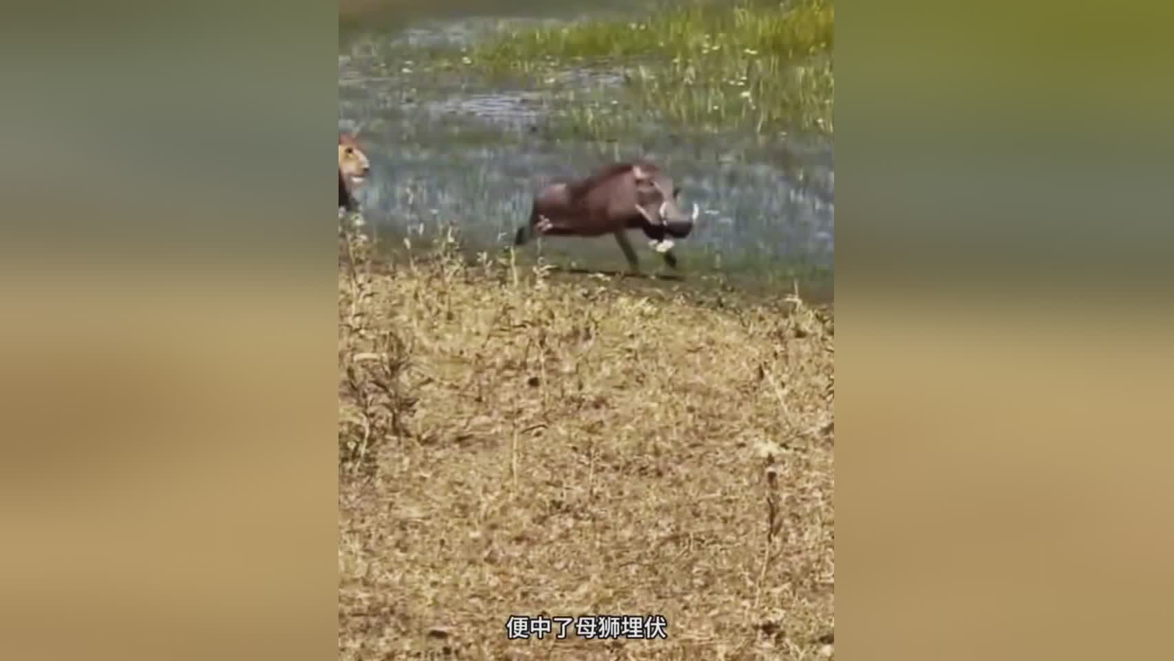 图