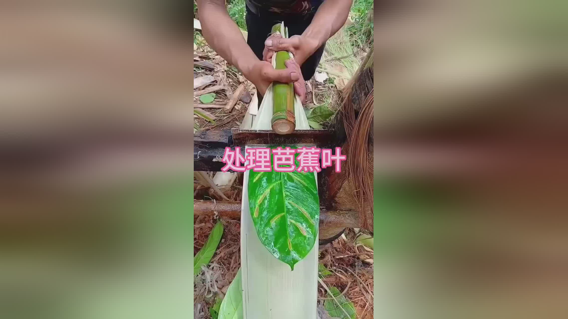 图