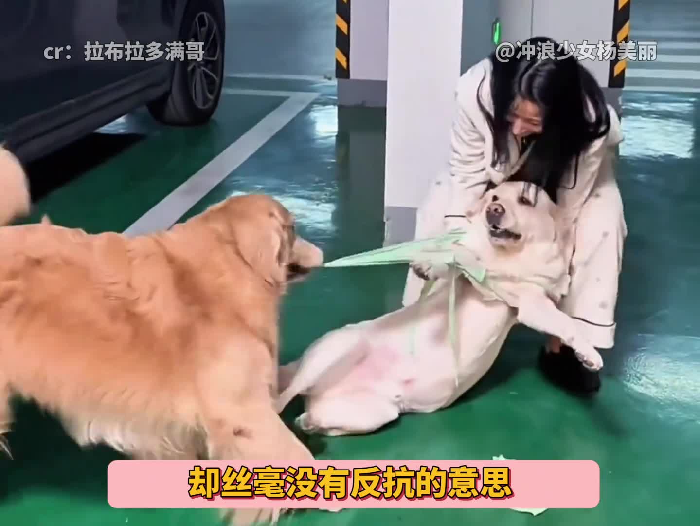 图