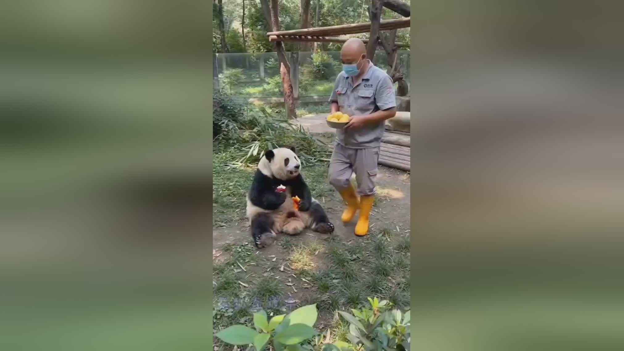 图
