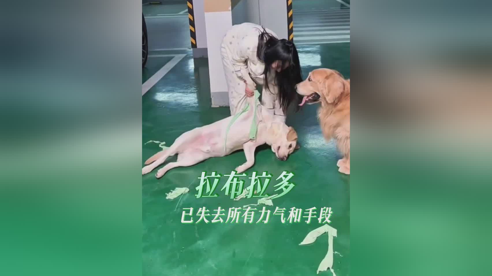图