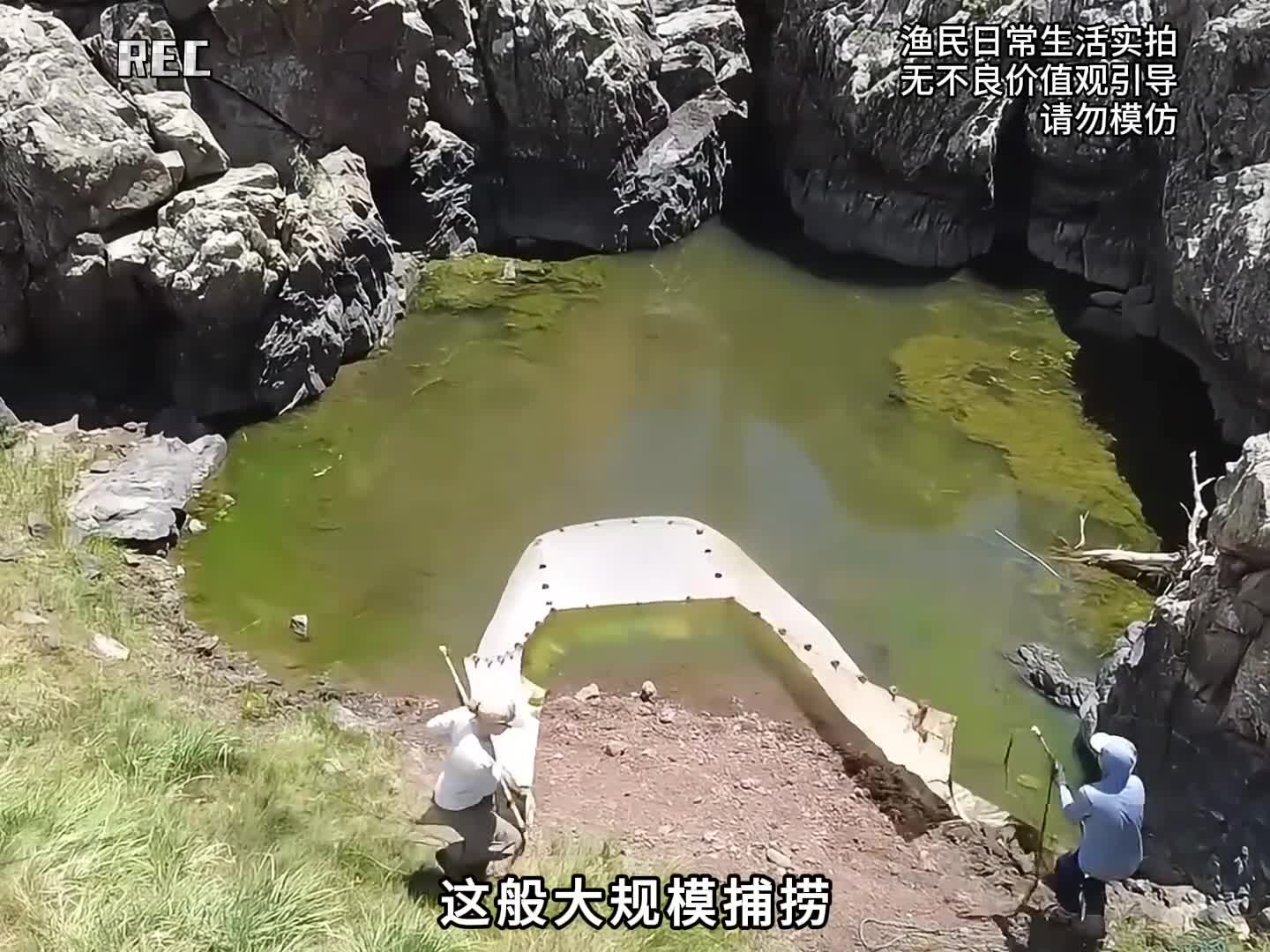 图