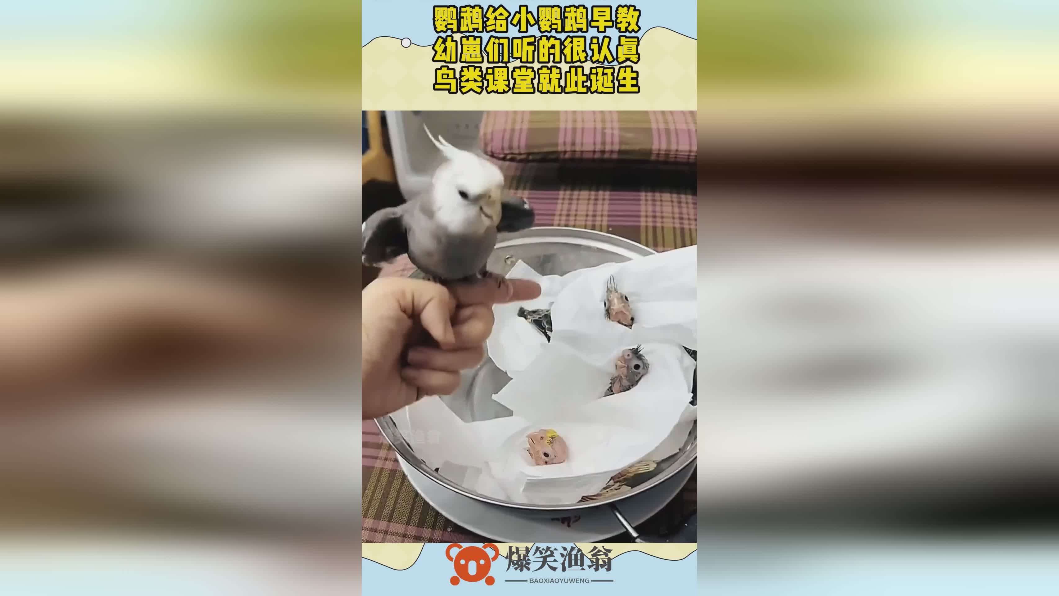 图