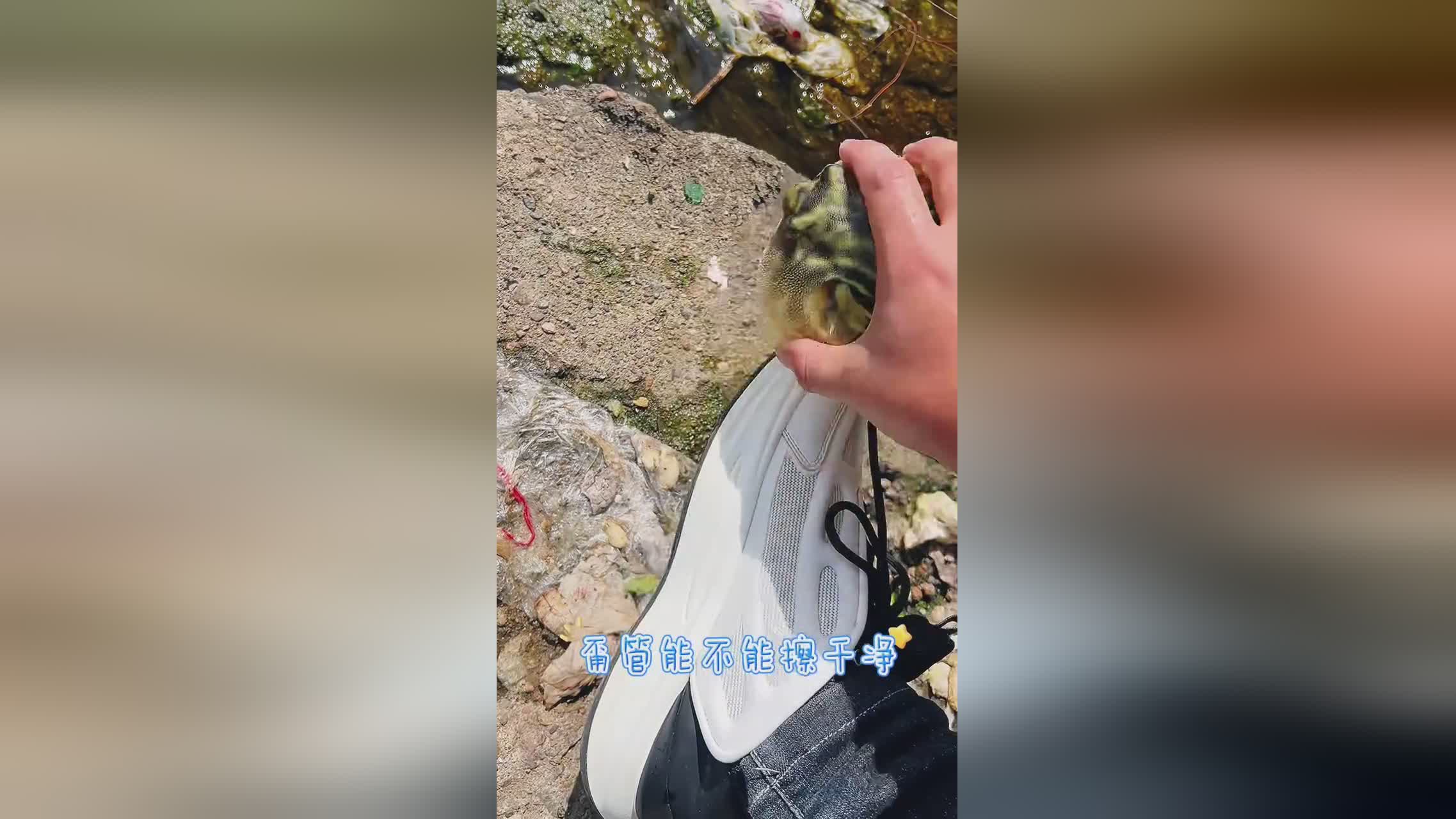 图