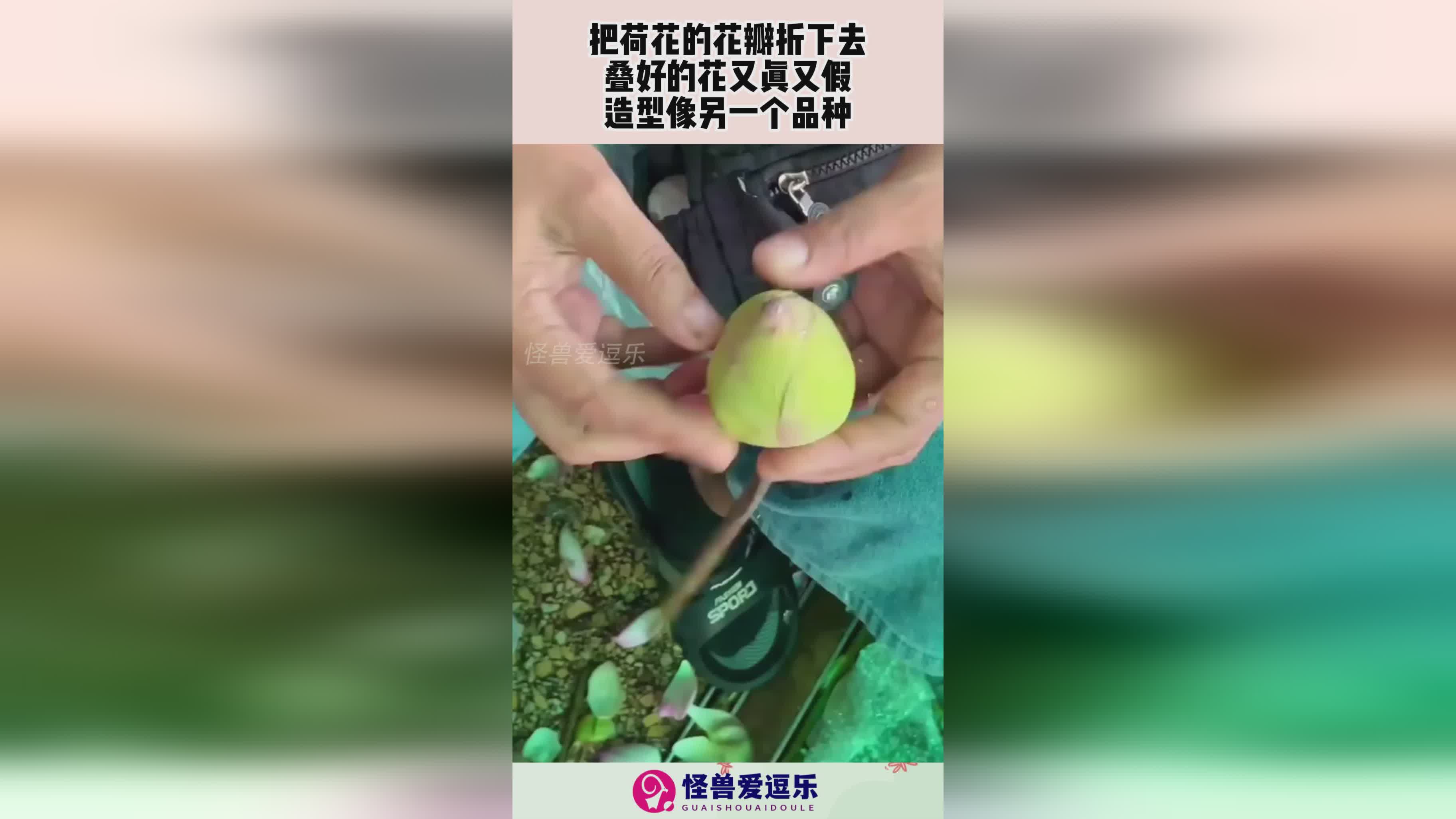 图