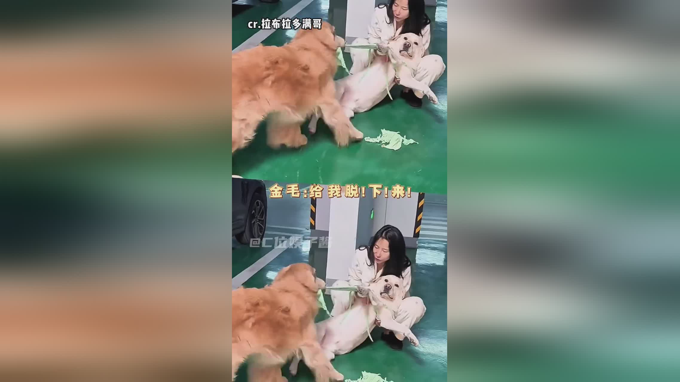 图