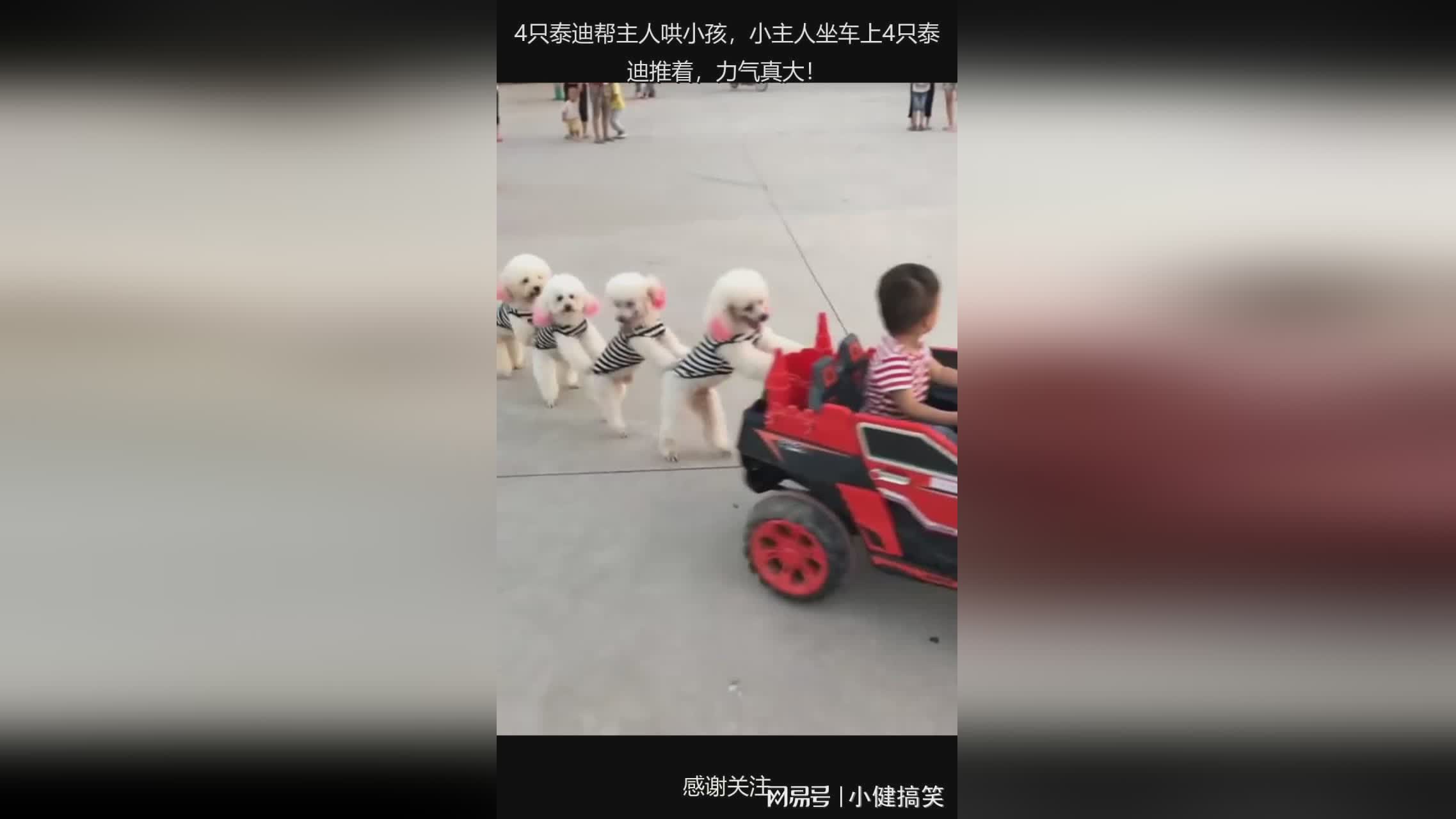 图
