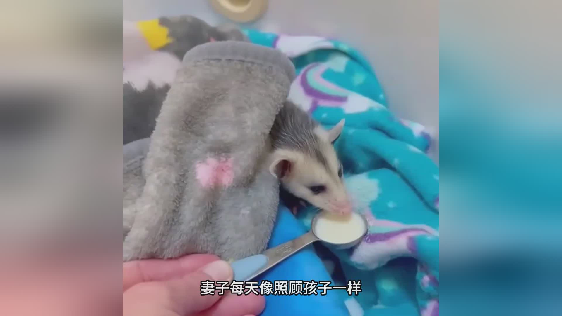 图