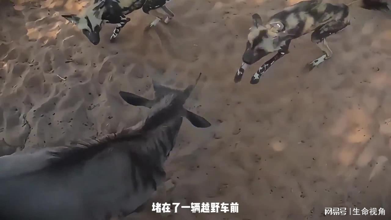 图