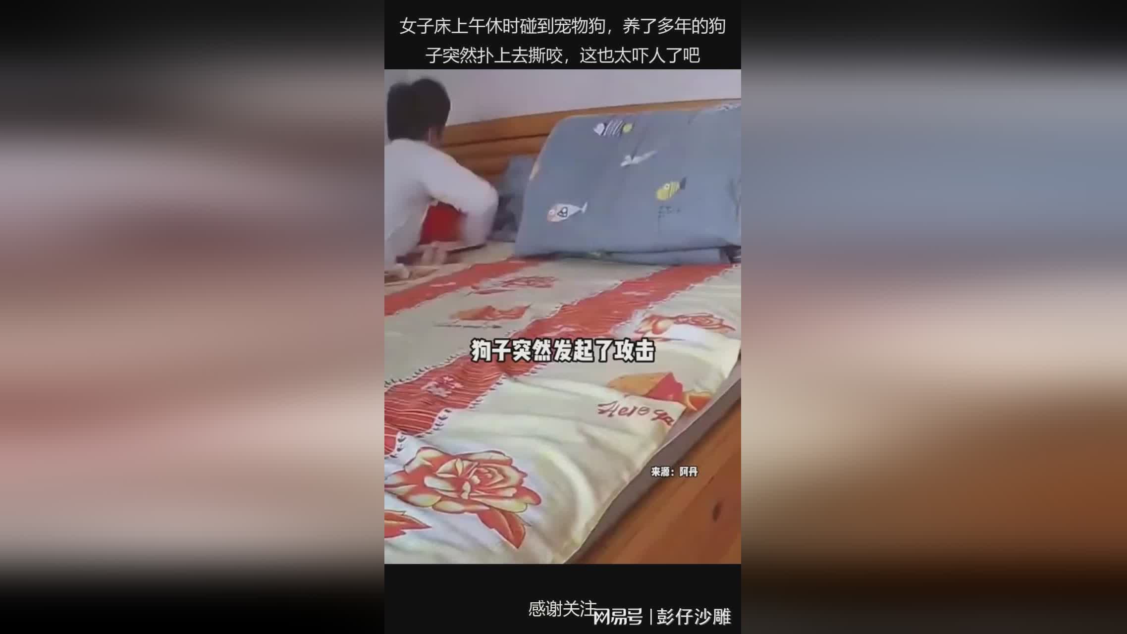图
