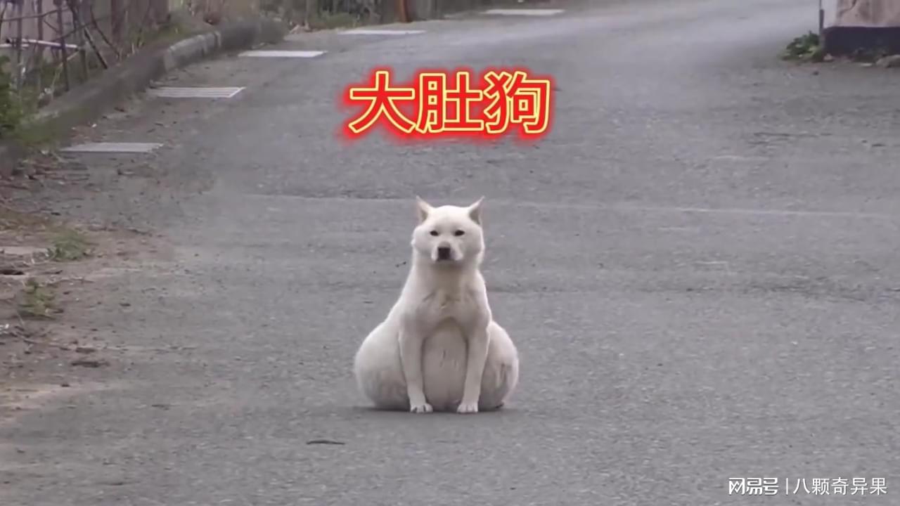 图